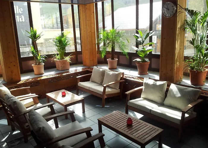 Отель Des Neiges 2*