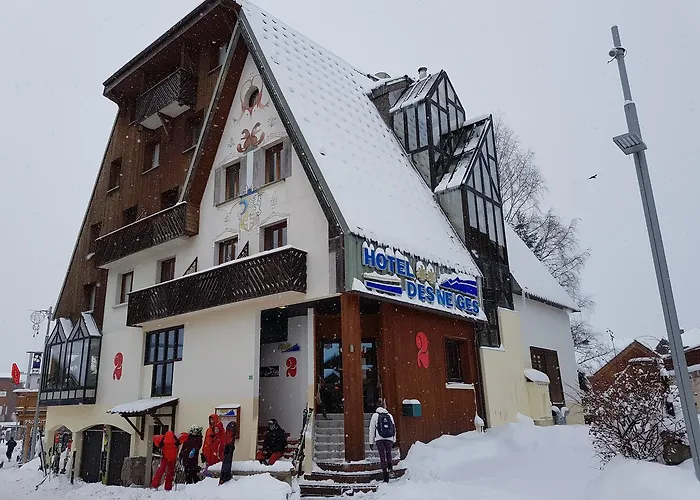 Отель Des Neiges