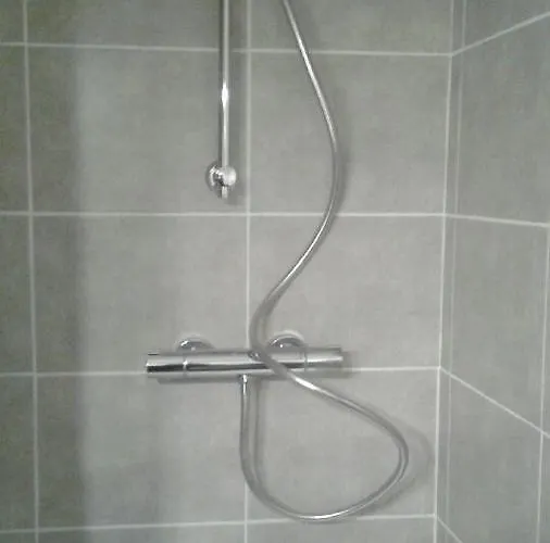 Des Neiges Les Deux Alpes